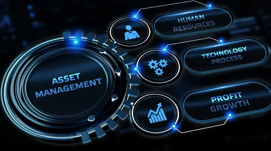 How an Asset Management System Can Transform Your Business