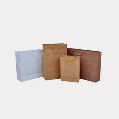 SQFTCB-1634 Paper Carry Bags with Handle