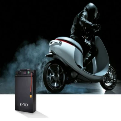 SQFTEB-2548 E-Bikes Lithium Ion Batteries