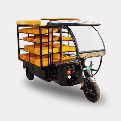 SQFTEM-2508 E Rickshaw Vending Cart