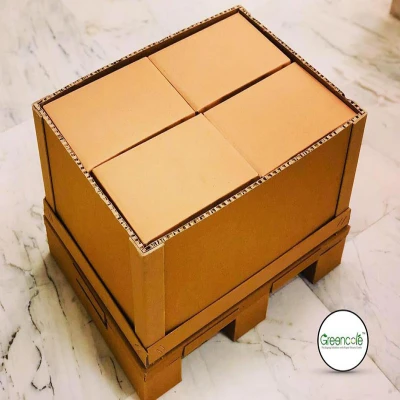 SQFTPB-423 Paper Honeycomb Pallet Box