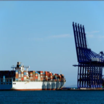 SQFTSF-566 International Ocean Freight