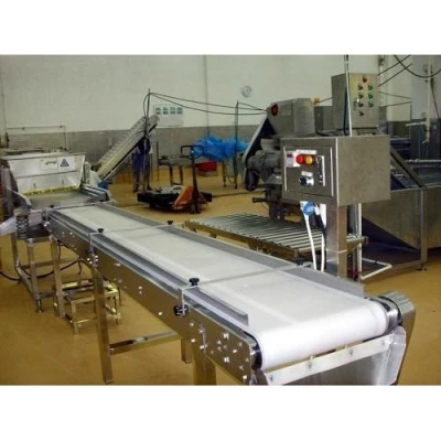 Food grade outlet conveyors