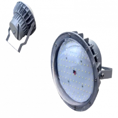 SQFTLL-4985 LED Well Glass Light - Oval series