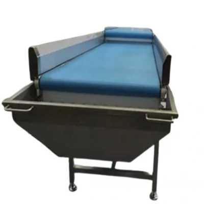 SQFTC-6084 Vegetable Transfer Conveyor