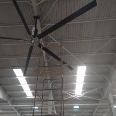 SQFTCF-6254 Giant Fan