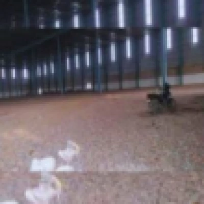 SQFTRW-6592 Pataudi Ready Warehouse