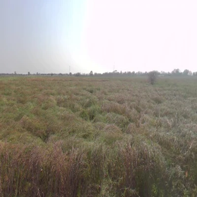 SQFTCL-6630 Sonipat Land