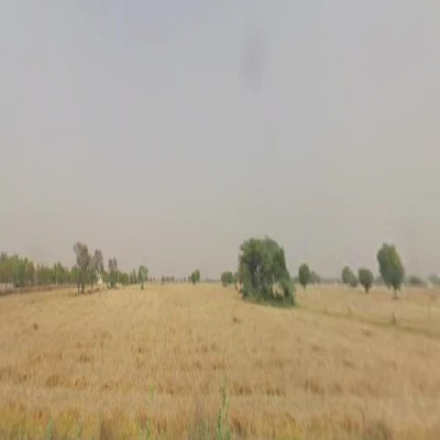 SQFTCL-6663 Gurawara Land
