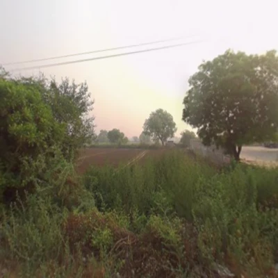 SQFTCL-6693 Sikandrabad land