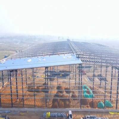 SQFTRW-6793 Faridabad Warehouse