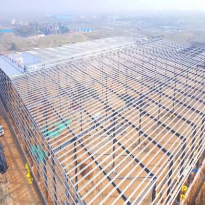 SQFTRW-6793 Faridabad Warehouse