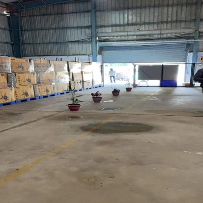 SQFTRW-6796 Mubarikpur Farrukhnagar Gurgaon Warehouse