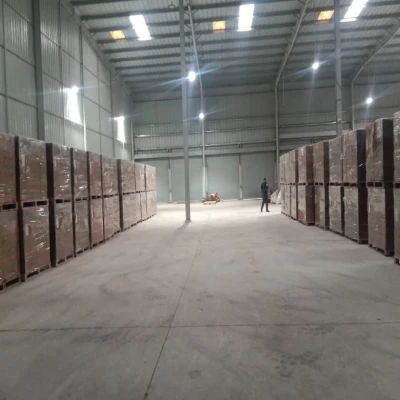 SQFTRW-6809 Kota Rajasthan Warehouse