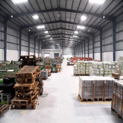 SQFTRW-6866 Kanpur warehouse