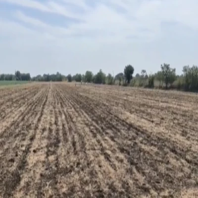 SQFTBT-7424 Latur Maharashtra open land