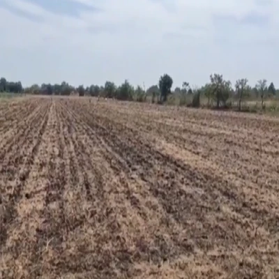 SQFTBT-7424 Latur Maharashtra open land