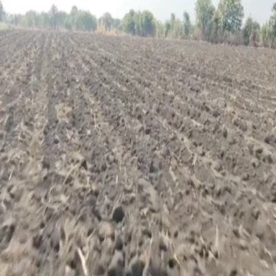 SQFTBT-7424 Latur Maharashtra open land