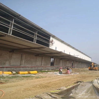 SQFTRW-7544 Kanpur warehouse