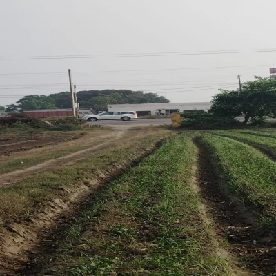 SQFTCL-7606 Gajraula open land