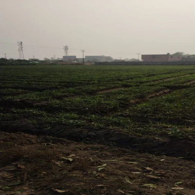 SQFTCL-7606 Gajraula open land